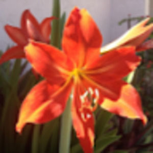 Meet your Posher, Gretchen